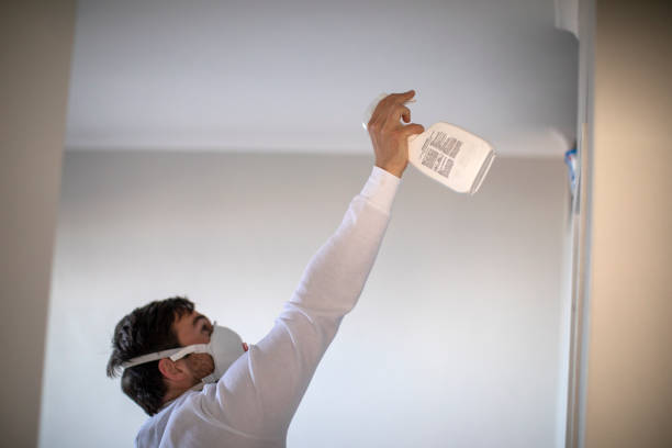 Professional Mold Remediation in Winters, CA